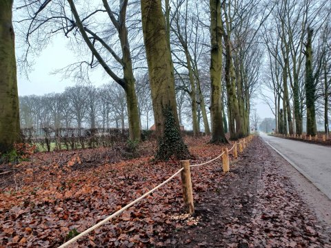 Beheerwerken moeten toekomst historische Dreef van Boechout garanderen